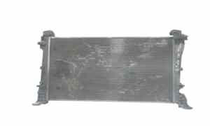 Radiatore acqua per Fiat Grande Punto 2 Serie (2008 - 2009)