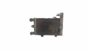 Radiatore Opzionale per Bmw X3 1 Serie (2004 - 2010)