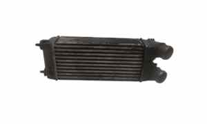 Intercooler per Peugeot 308 Serie (07>14) (2007 - 2014)