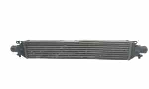Intercooler per Fiat Dobl Serie (09>) (2009 - In produzione)