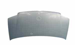 Cofano Anteriore per Fiat Panda 2 Serie (2003 - 2010)