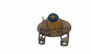 Vaschetta liquido radiatore per Fiat Grande Punto 1 Serie (2005 - 2008)