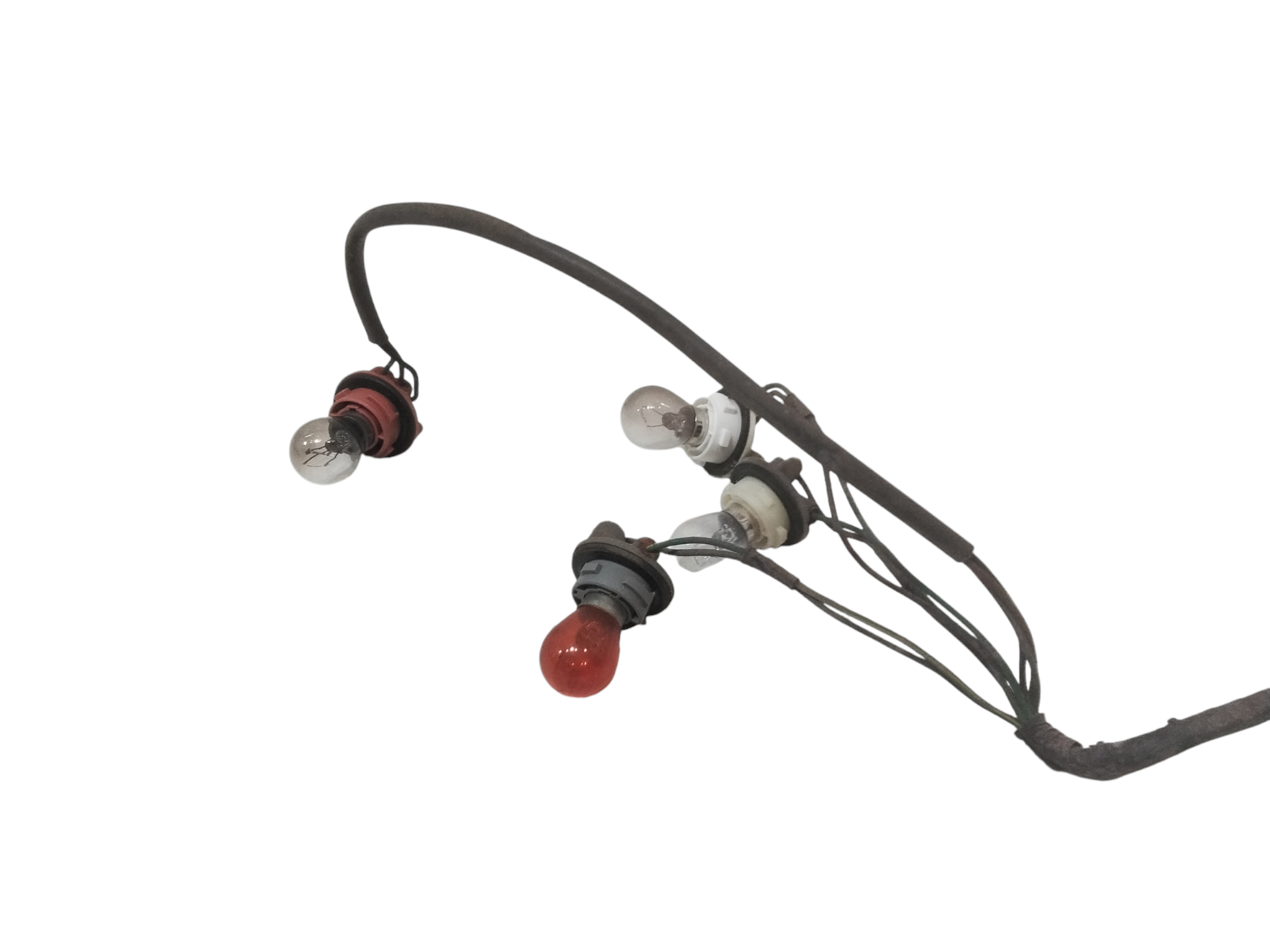 Portalampada stop SX per Kia Picanto 1 Serie (2004 - 2008)