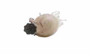 Vaschetta liquido radiatore per Citroen C3 Pluriel (2003 - In produzione)