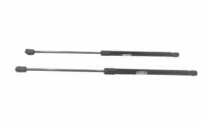 Pistoncini cofano Post. per Dacia Sandero 1 Serie (2008 - 2012)