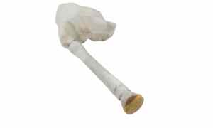 Vaschetta Tergi ant per Renault Master 4 Serie (2010 - In produzione)