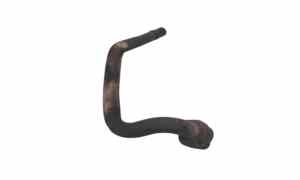 Collettore Di Scarico per Honda Sh 300cc (2007 - In produzione)