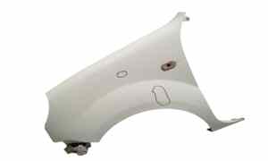 Parafango Anteriore Sinistro per Renault Kangoo 3 Serie (2003 - 2007)