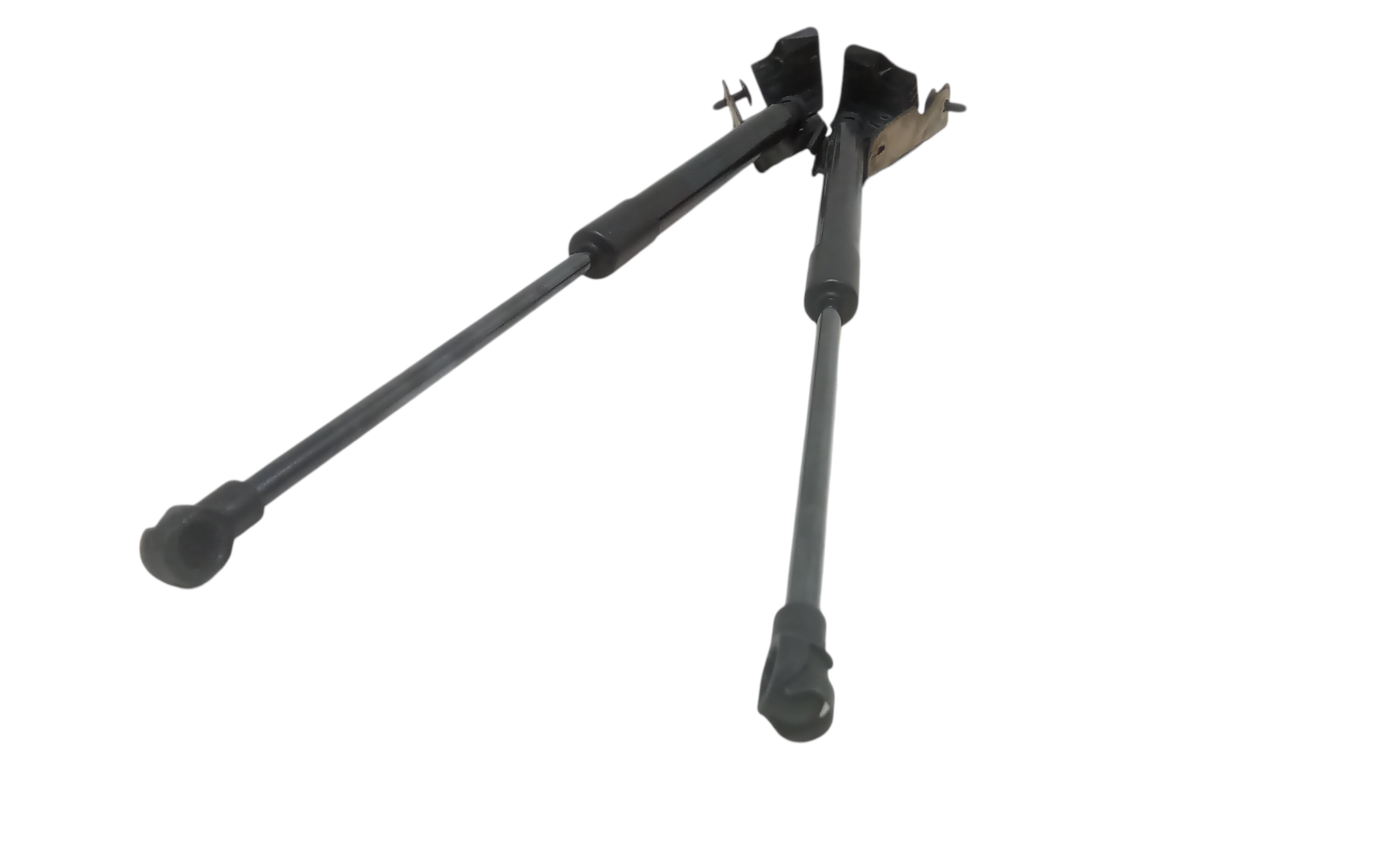 Pistoncini cofano Post. per Smart Smart fortwo coupe EQ (2019 - )