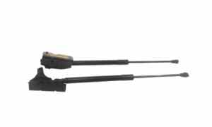 Pistoncini cofano Post. per Smart Smart fortwo coupe EQ (2019 - )