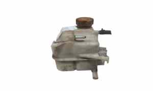 Vaschetta liquido radiatore per Chevrolet Captiva 1 Serie (2006 - In produzione)