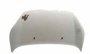 Cofano Anteriore per Ford Fiesta 6 Serie (2008 - 2017)