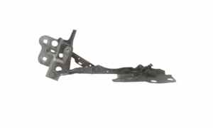 Cerniera cofano anteriore DX per Jaguar E-pace Serie  (17>) (2017 - In produzione)