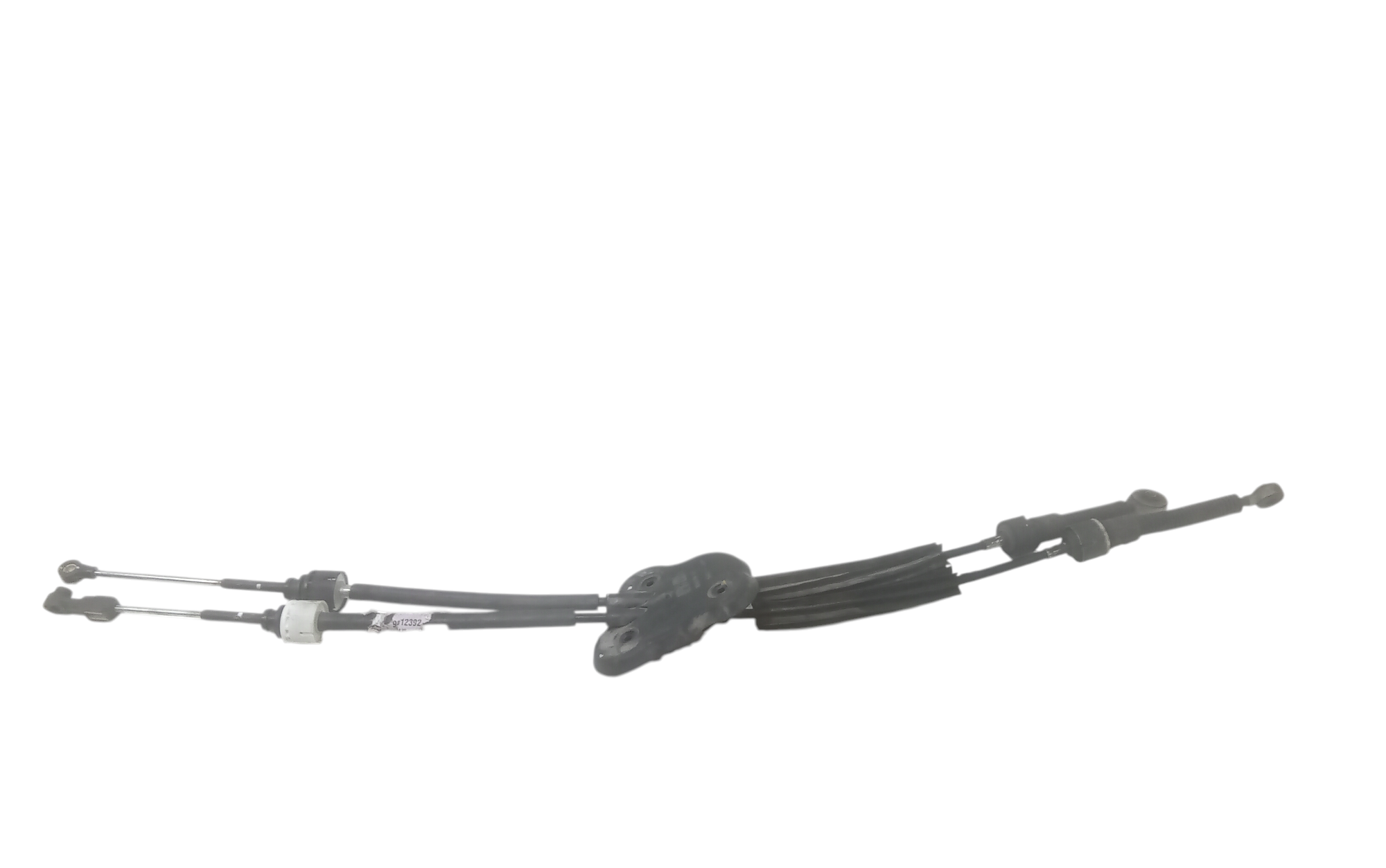 Cavi Marce per Renault Scenic Serie (09>16) (2009 - 2016)