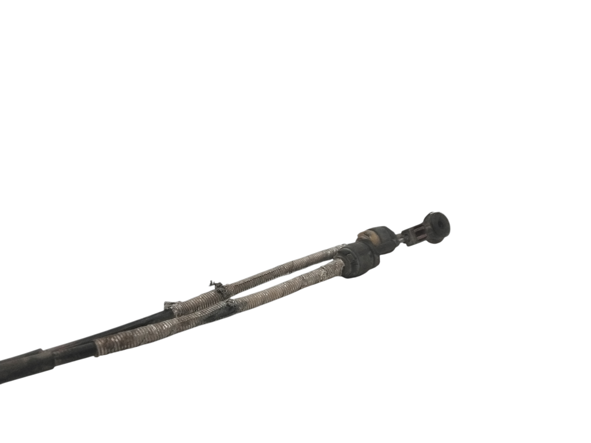 Corde cambio per Ford Focus Berlina 4� Serie (2008 - 2011)