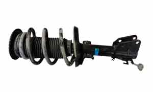 Ammortizzatore Anteriore destro per Renault Master 4 Serie (2010 - In produzione)