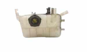 Vaschetta liquido radiatore per Renault Megane Iii (08>16) (2008 - 2016)