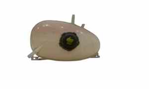 Vaschetta liquido radiatore per Renault Twingo Iii Serie (14>) (2014 - In produzione)