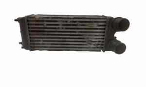 Intercooler per Ford B - Max Berlina (2012 - In produzione)