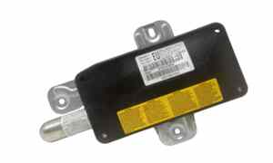 Airbag porta anteriore destra passeggero per Bmw Serie 3 E46 Berlina (01>05) (2001 - 2005)