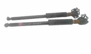 Coppia Ammortizzatori per Fiat Grande Punto 2 Serie (2008 - 2009)