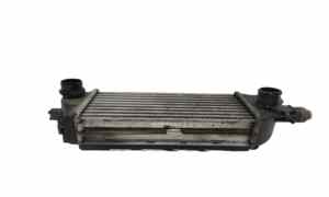 Intercooler per Lancia Ypsilon 4 Serie (2011 - In produzione)