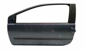 Portiera Anteriore Sinistra per Renault Twingo Ii Serie  (07>14) (2007 - 2014)