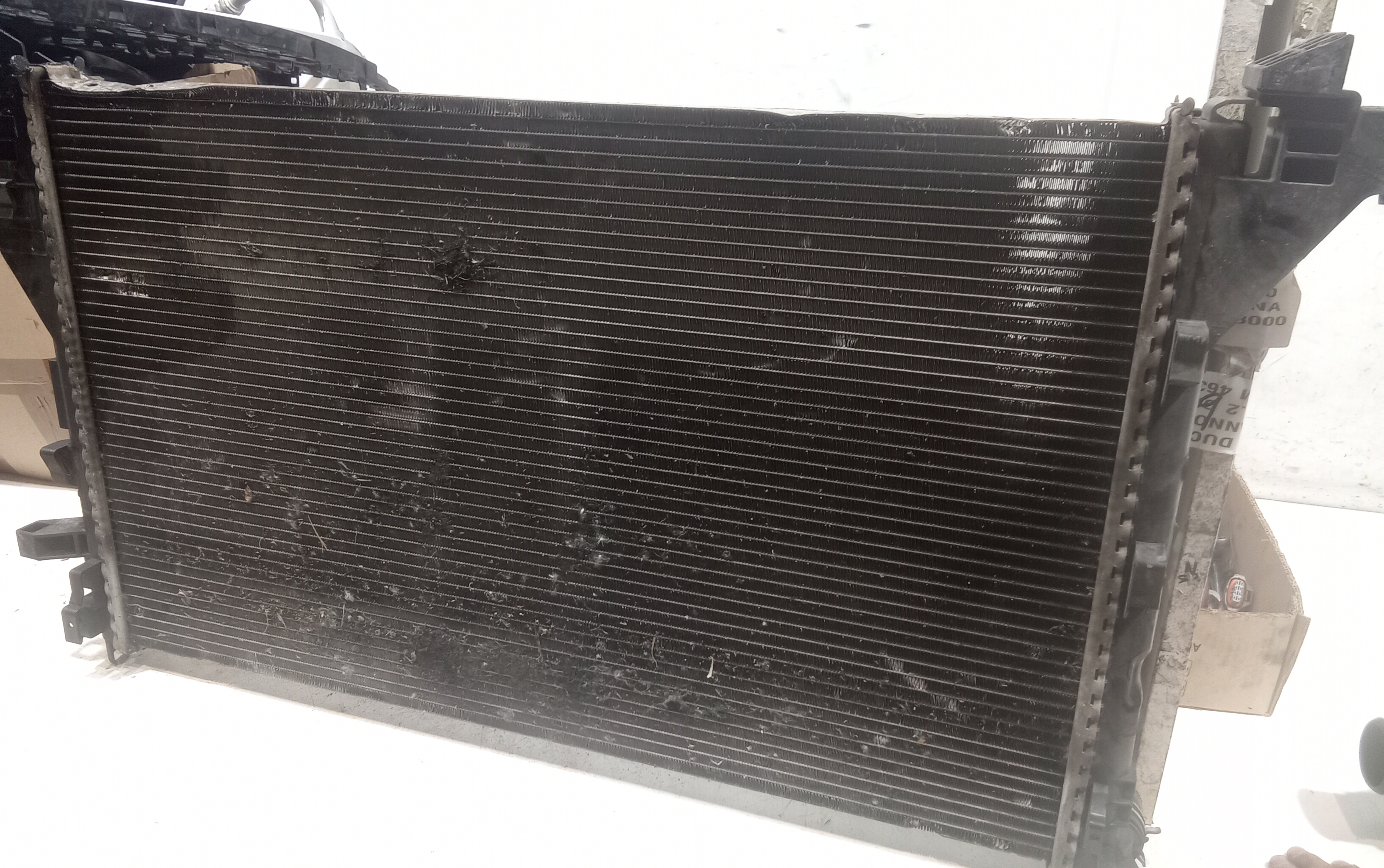 Radiatore acqua per Renault Master 4 Serie (2010 - In produzione)