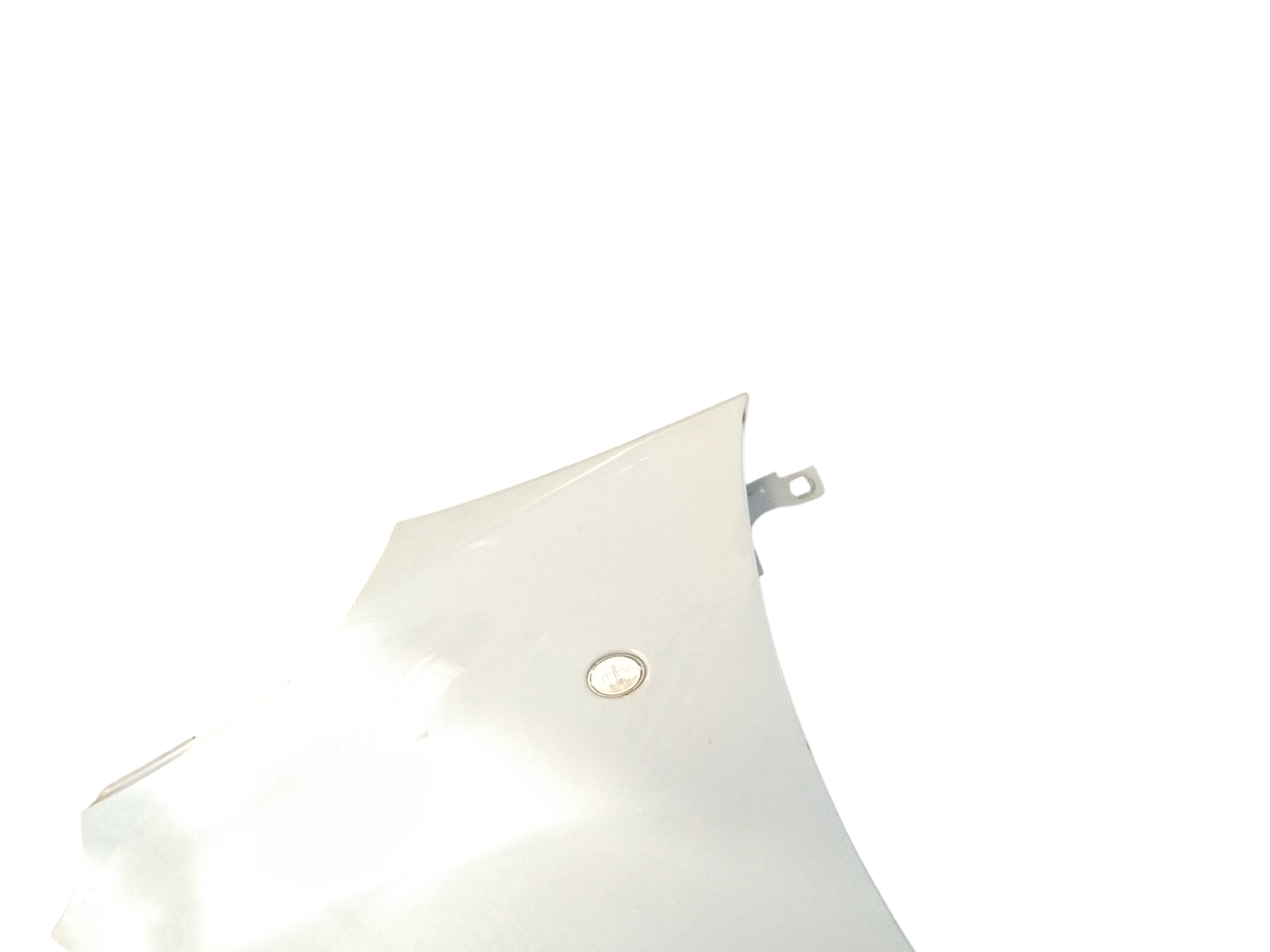 Parafango Anteriore Sinistro per Fiat 500 L Serie (351_352) (12>) (2012 - In produzione)