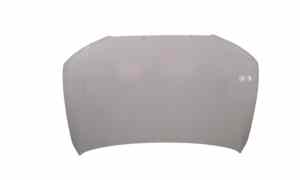 Cofano Anteriore per Audi A4 Avant (8k5) (08>15) (2008 - 2015)