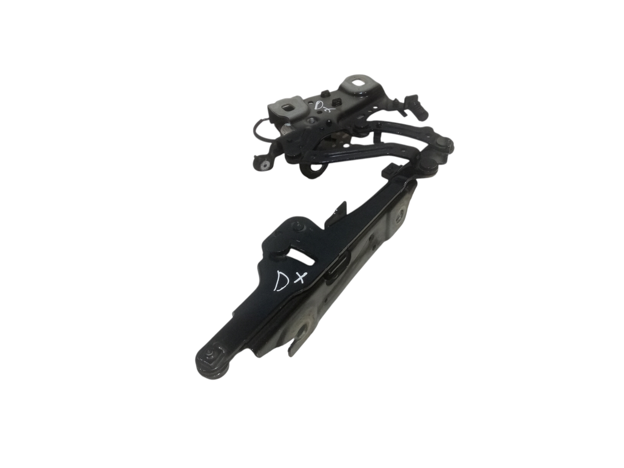 Cerniera cofano anteriore DX per Mini Cooper (17>) (2017 - )