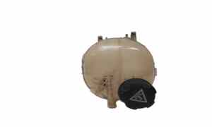 Vaschetta liquido radiatore per Peugeot 2008 (2019 - 2022)