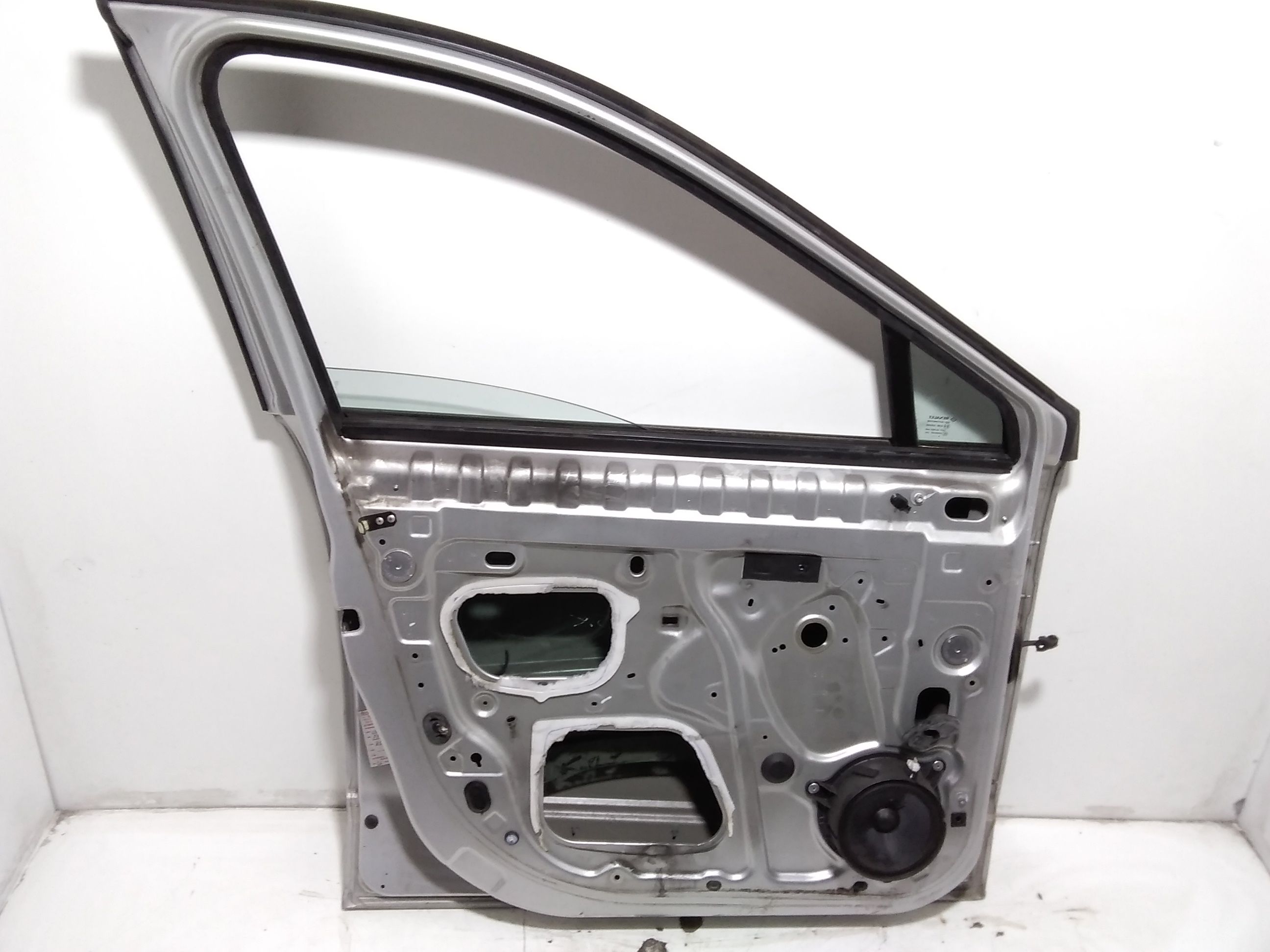 Portiera Anteriore Sinistra RENAULT Scenic Serie (09>16)