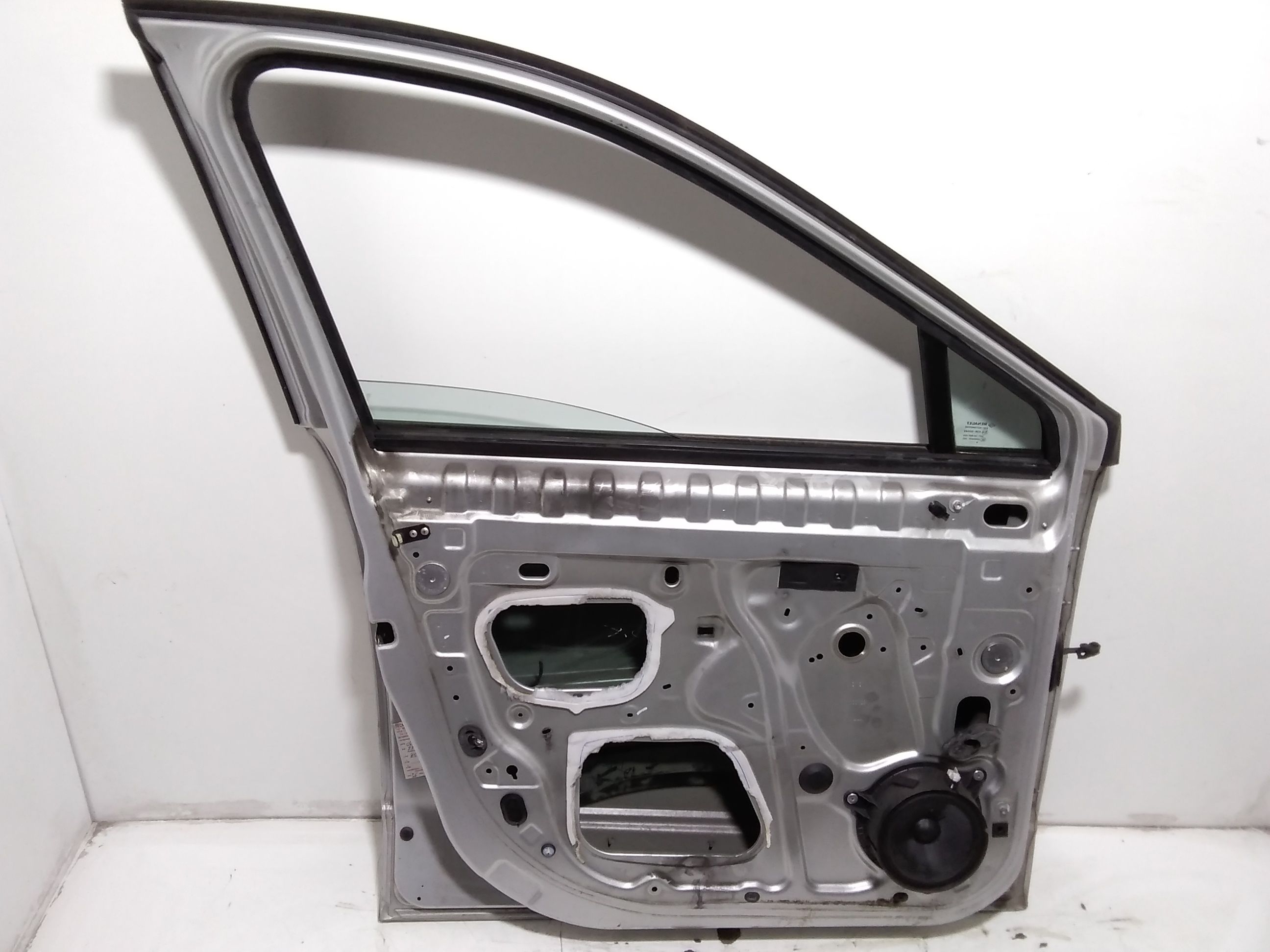 Portiera Anteriore Sinistra RENAULT Scenic Serie (09>16)