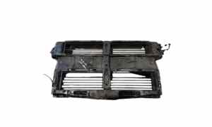 Calandra per Ford Kuga (2020 - )