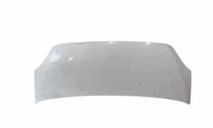 Cofano Anteriore per Iveco Daily 4 Serie (2006 - 2014)