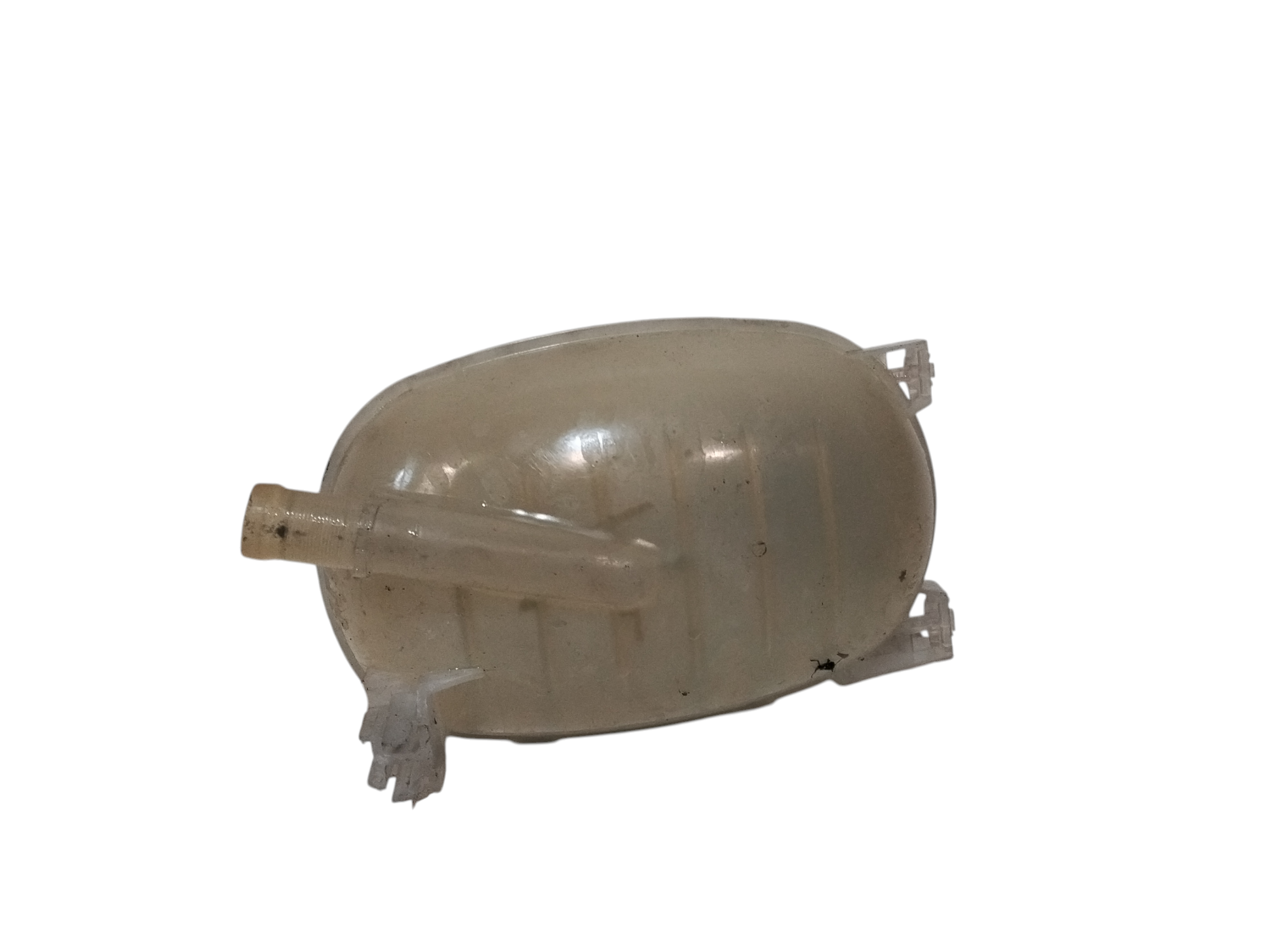 Vaschetta acqua liquido refrigerante per Renault Clio Serie V (19>) (2019 - In produzione)