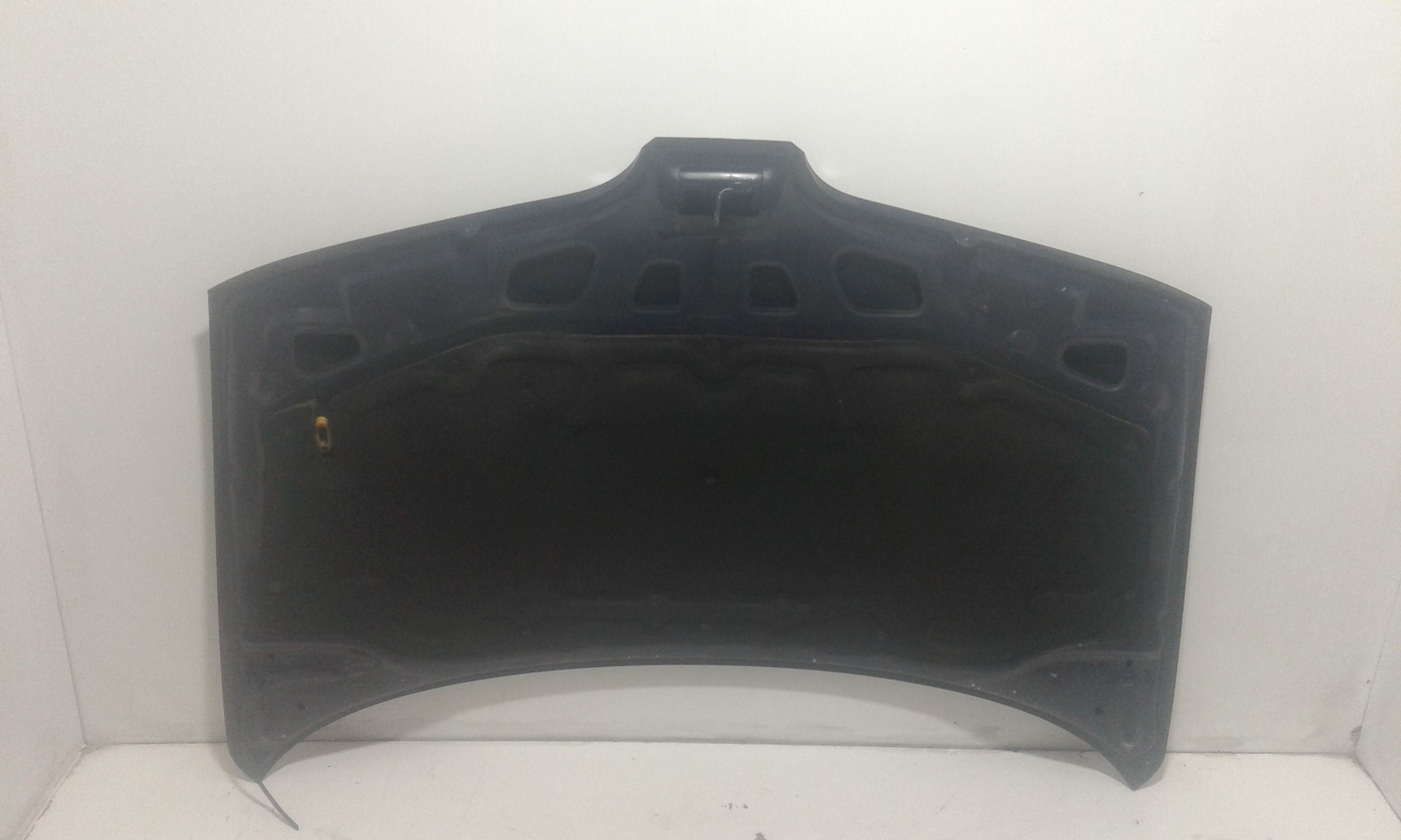 Cofano Anteriore RENAULT Scenic Serie (99>03)