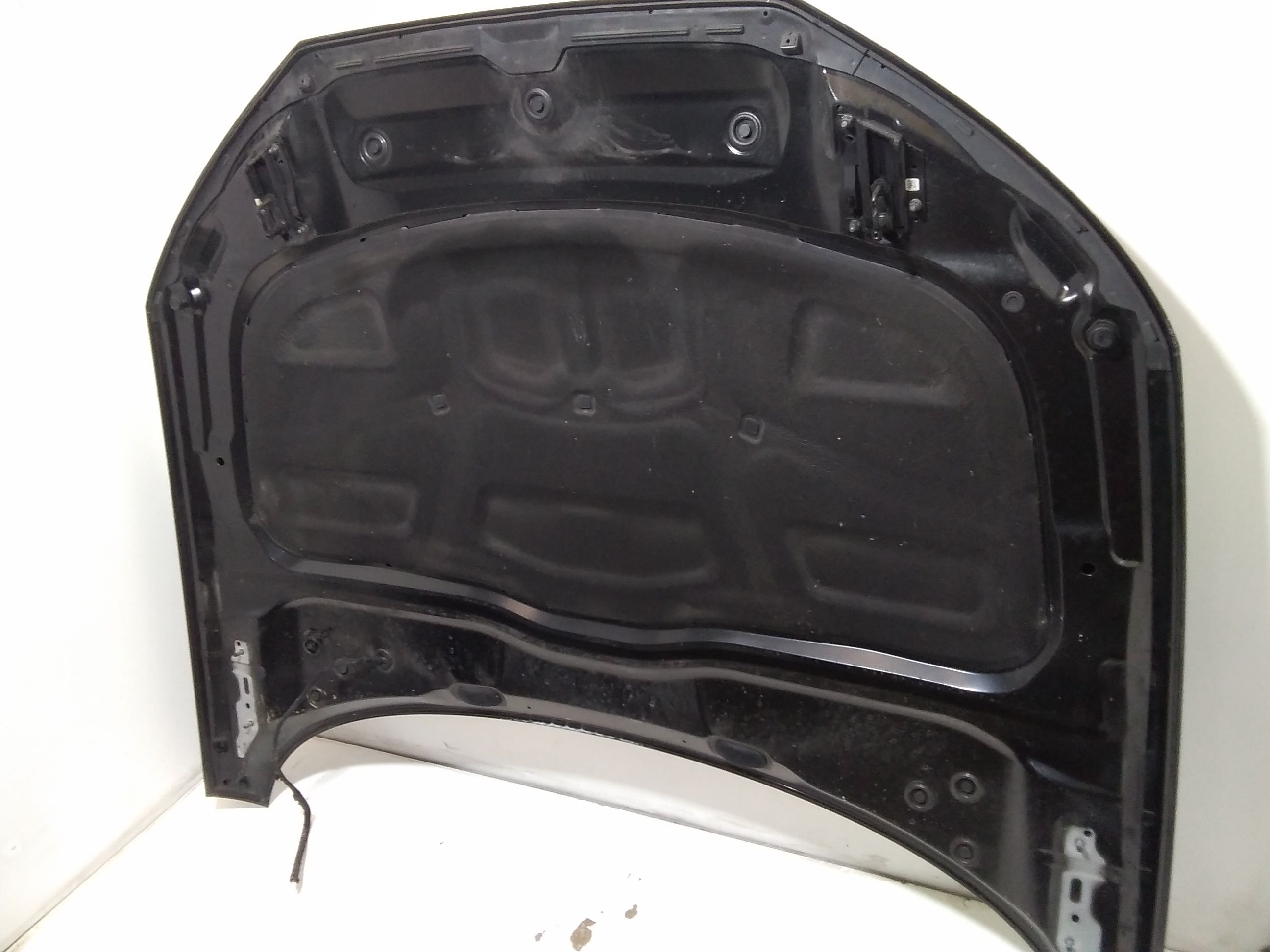 Cofano Anteriore AUDI A4 Avant (8W5)