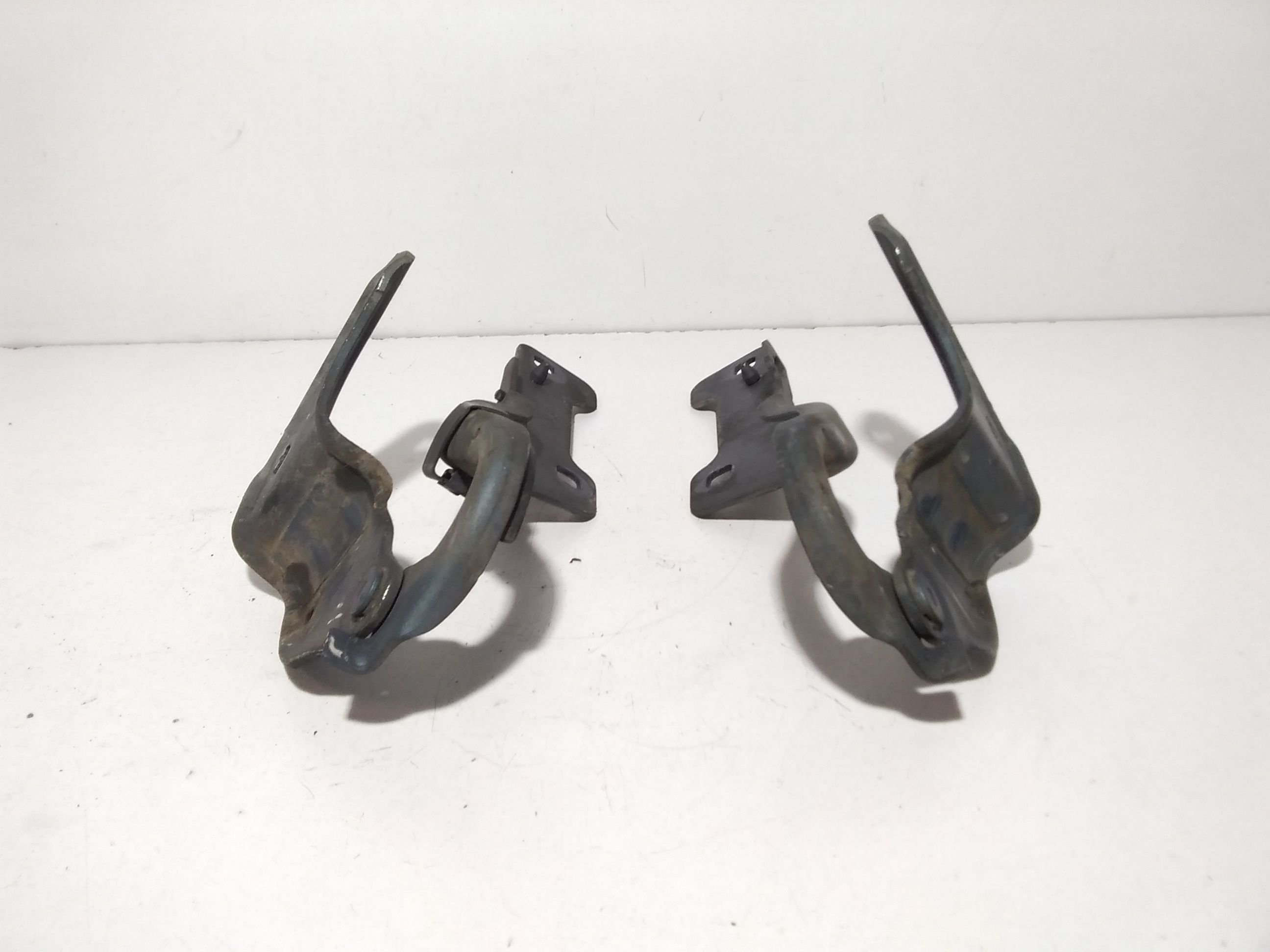 Cerniere cofano anteriore dx e sx RENAULT Clio Serie (04>08)