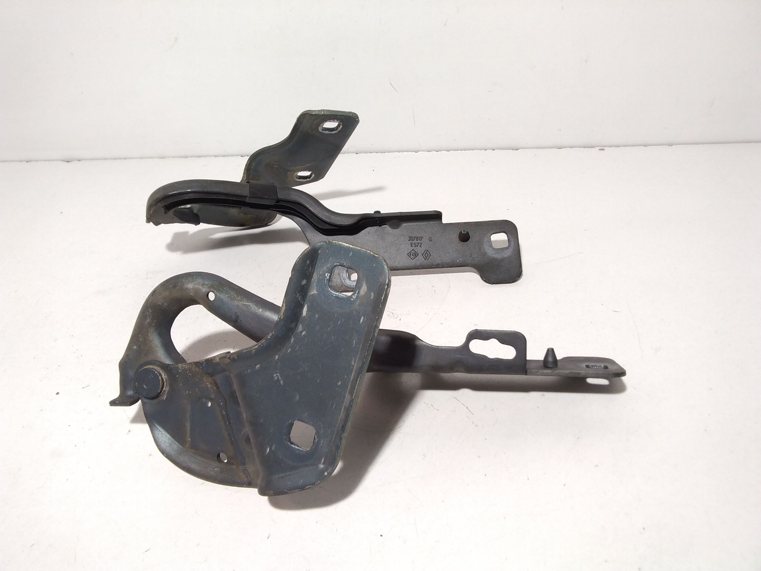 Cerniere cofano anteriore dx e sx RENAULT Clio Serie (04>08)