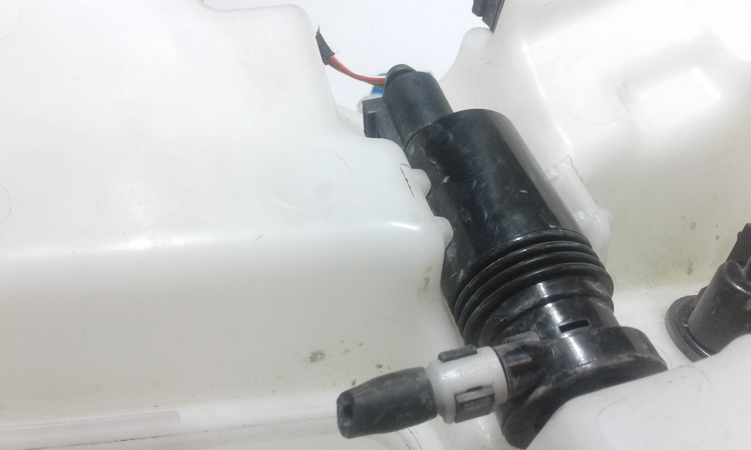 Vaschetta Tergi ant VOLKSWAGEN Passat Variant 5 Serie