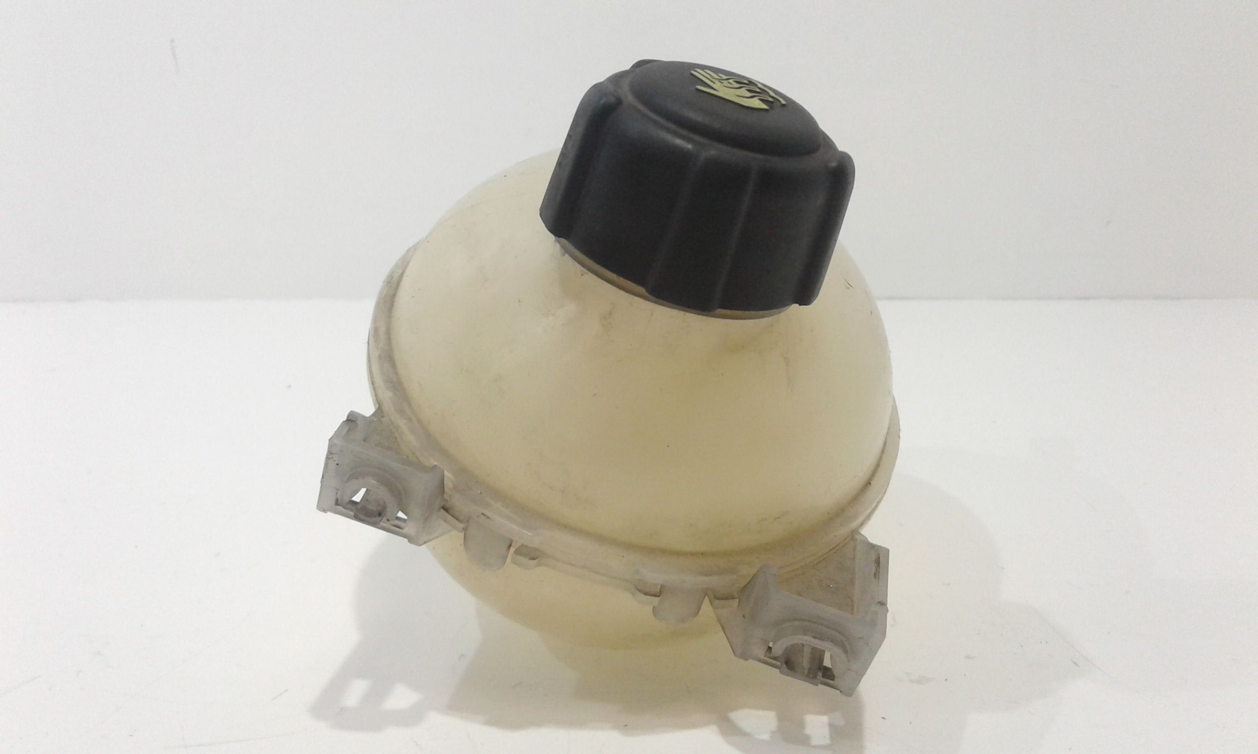 Vaschetta liquido radiatore RENAULT Clio Serie IV