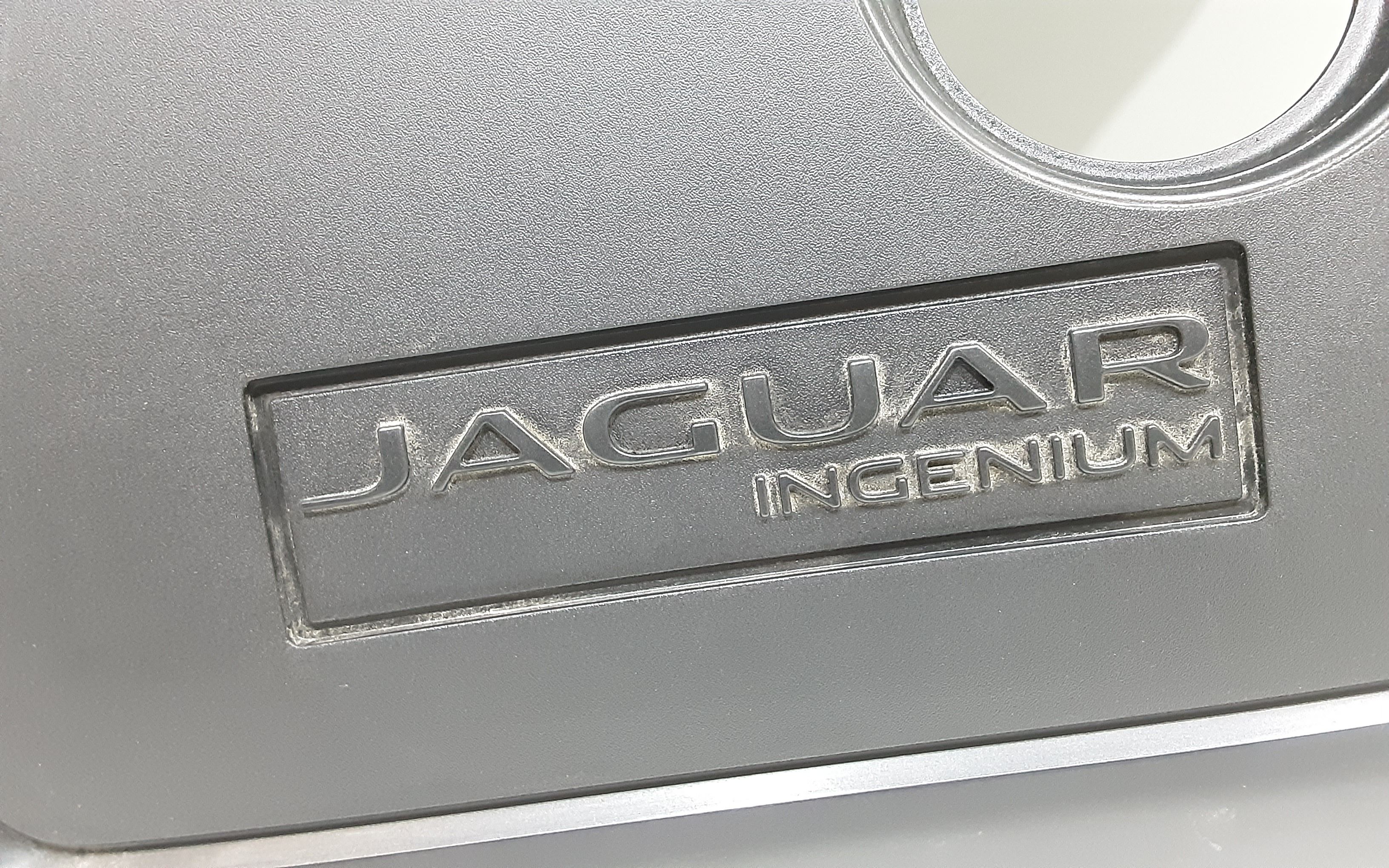 Coprimotore JAGUAR F-Pace Serie (16>)