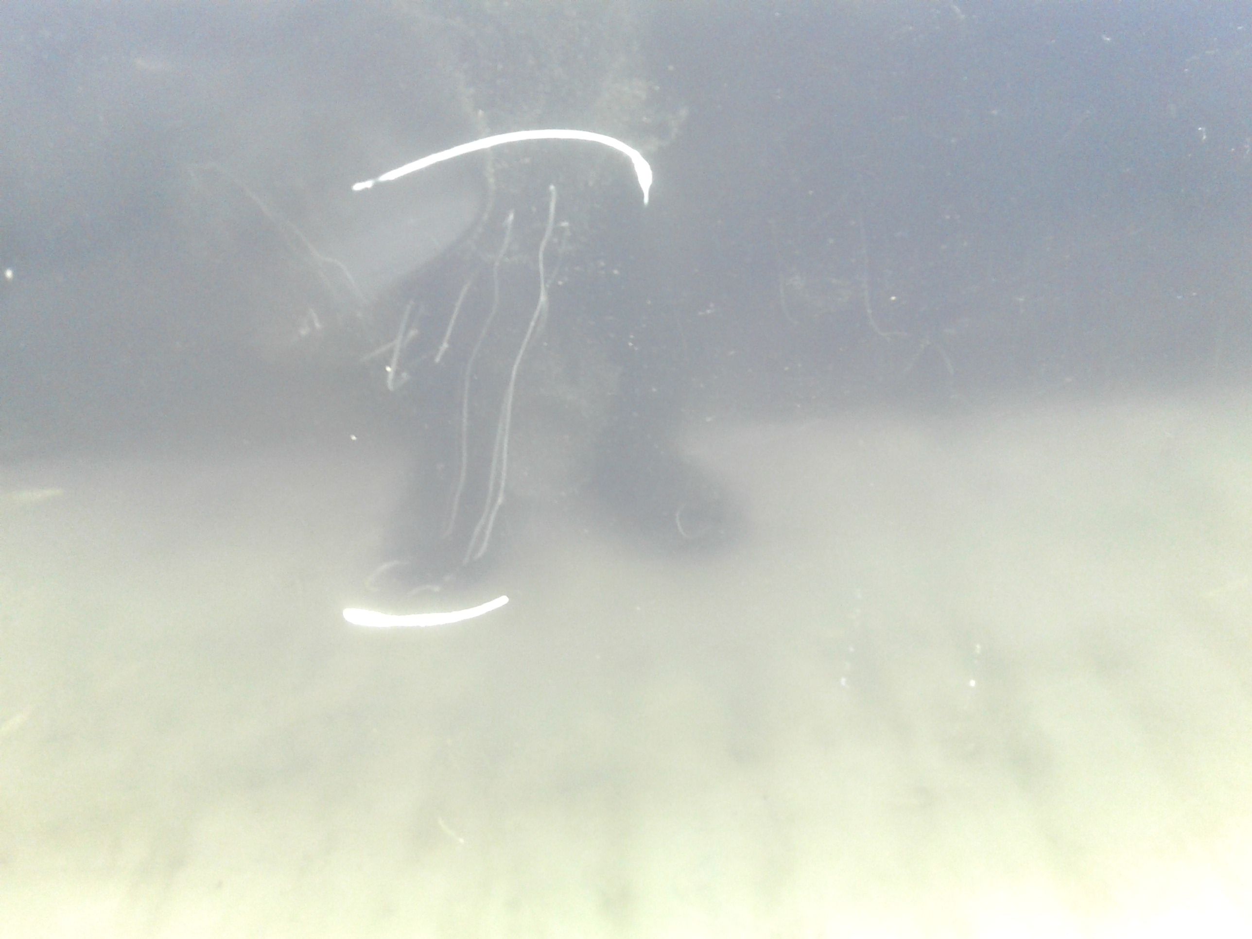 Portiera Anteriore Sinistra VOLKSWAGEN New Beetle 1 Serie