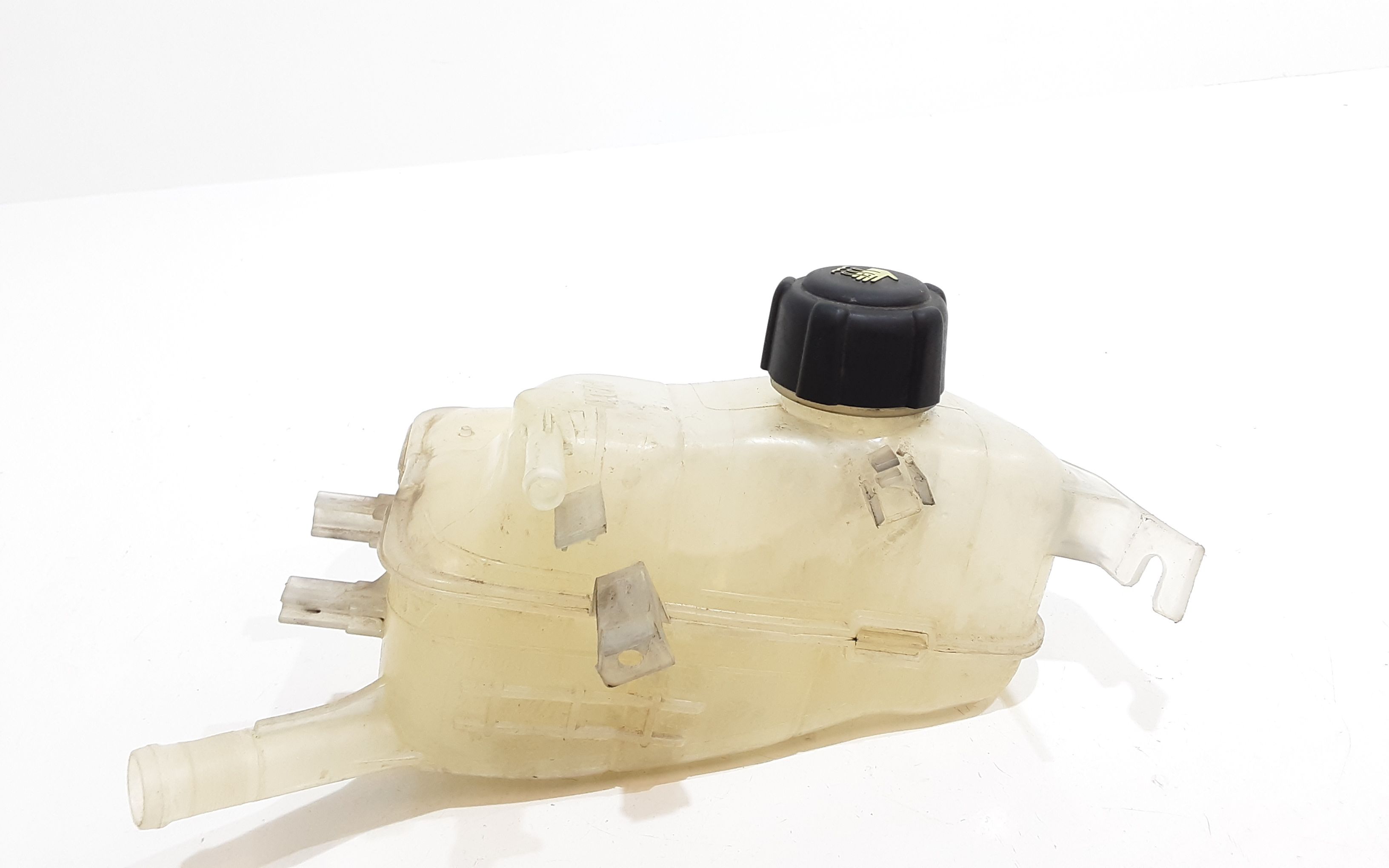 Vaschetta acqua liquido refrigerante RENAULT Scenic Serie (09>16)