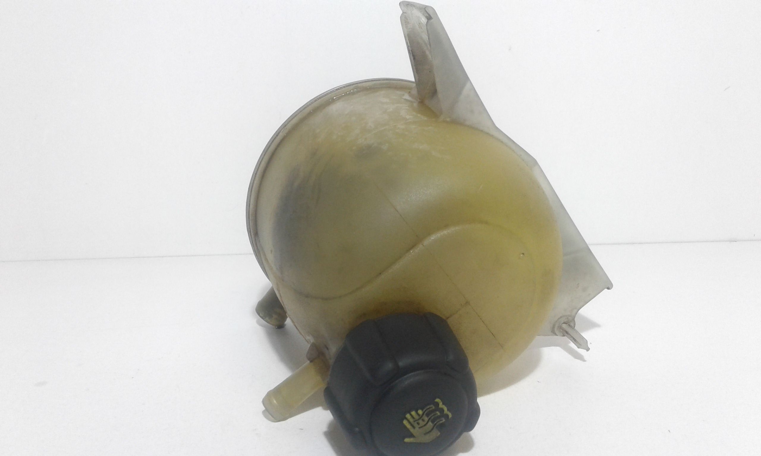 Vaschetta liquido radiatore RENAULT Kangoo 3 Serie