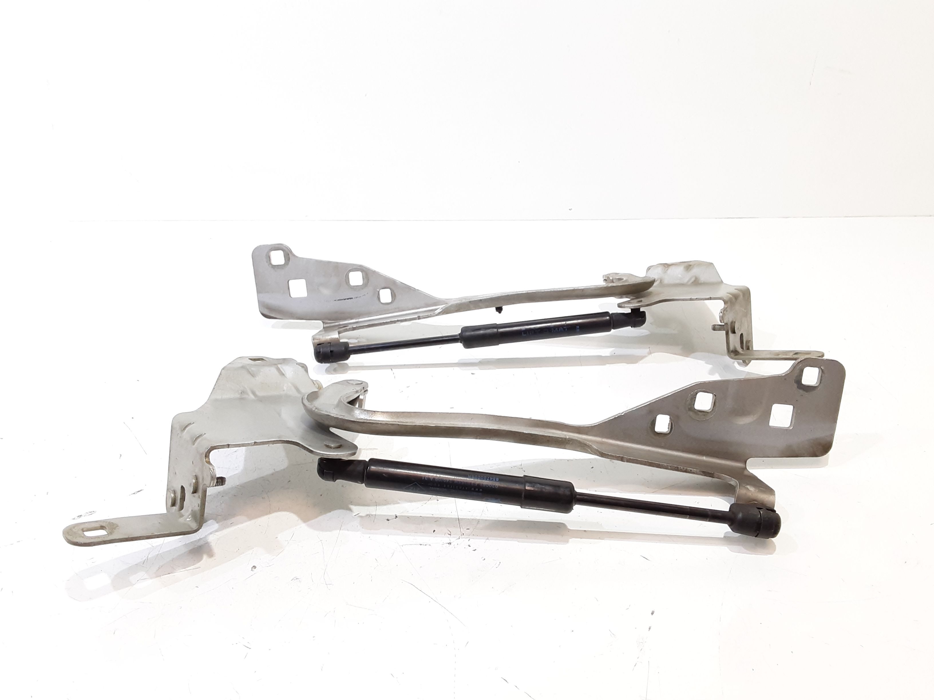 Cerniere cofano anteriore dx e sx RENAULT Scenic Serie (09>16)