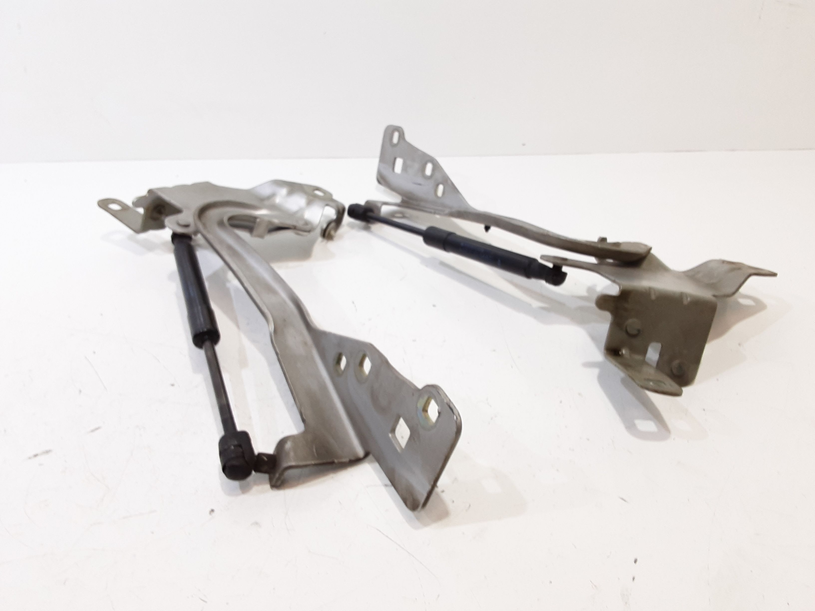 Cerniere cofano anteriore dx e sx RENAULT Scenic Serie (09>16)