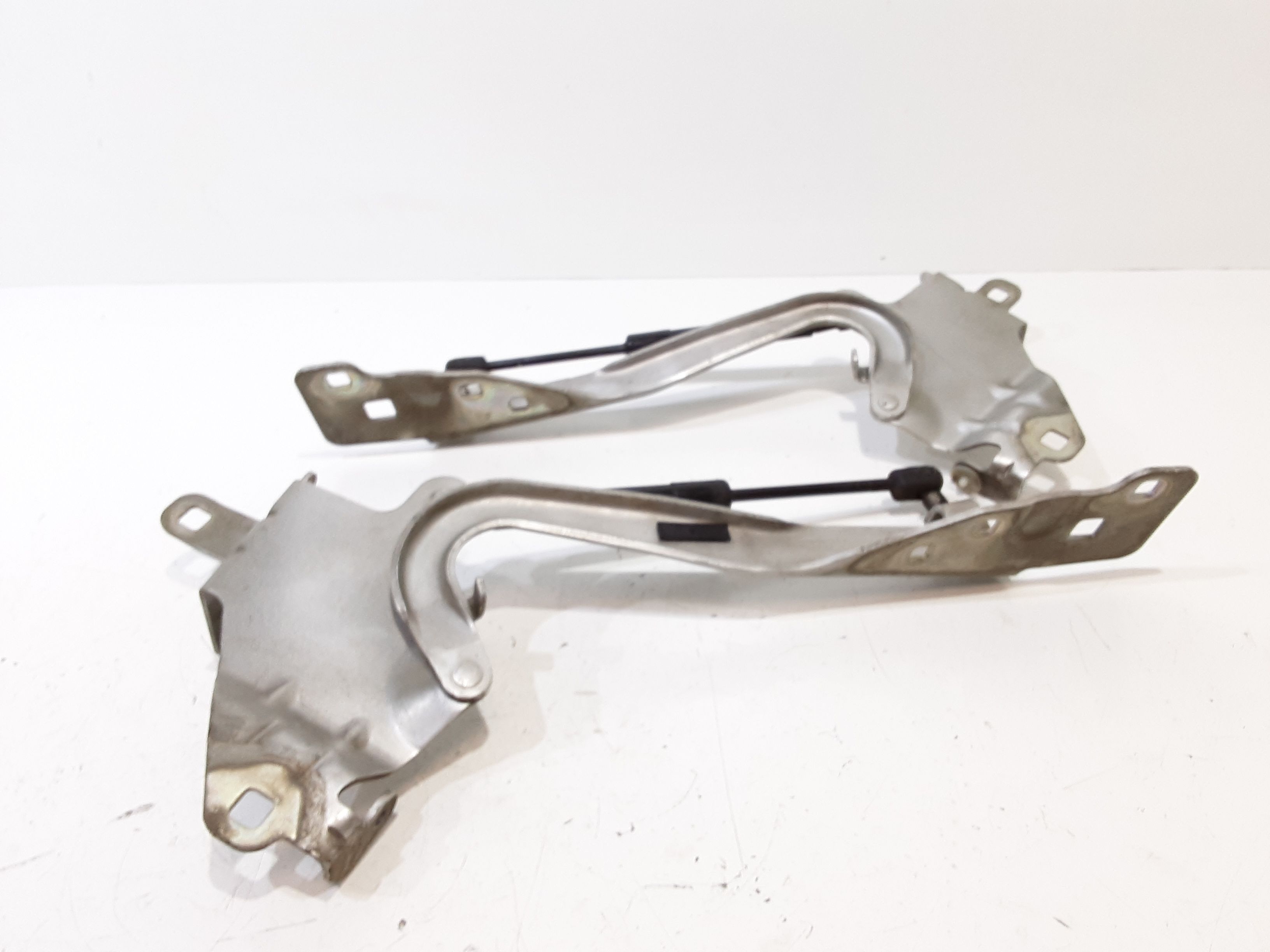 Cerniere cofano anteriore dx e sx RENAULT Scenic Serie (09>16)